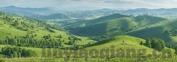亚洲狼人伊人中文字幕-亚洲狼人，伊人中文字幕的神秘传说